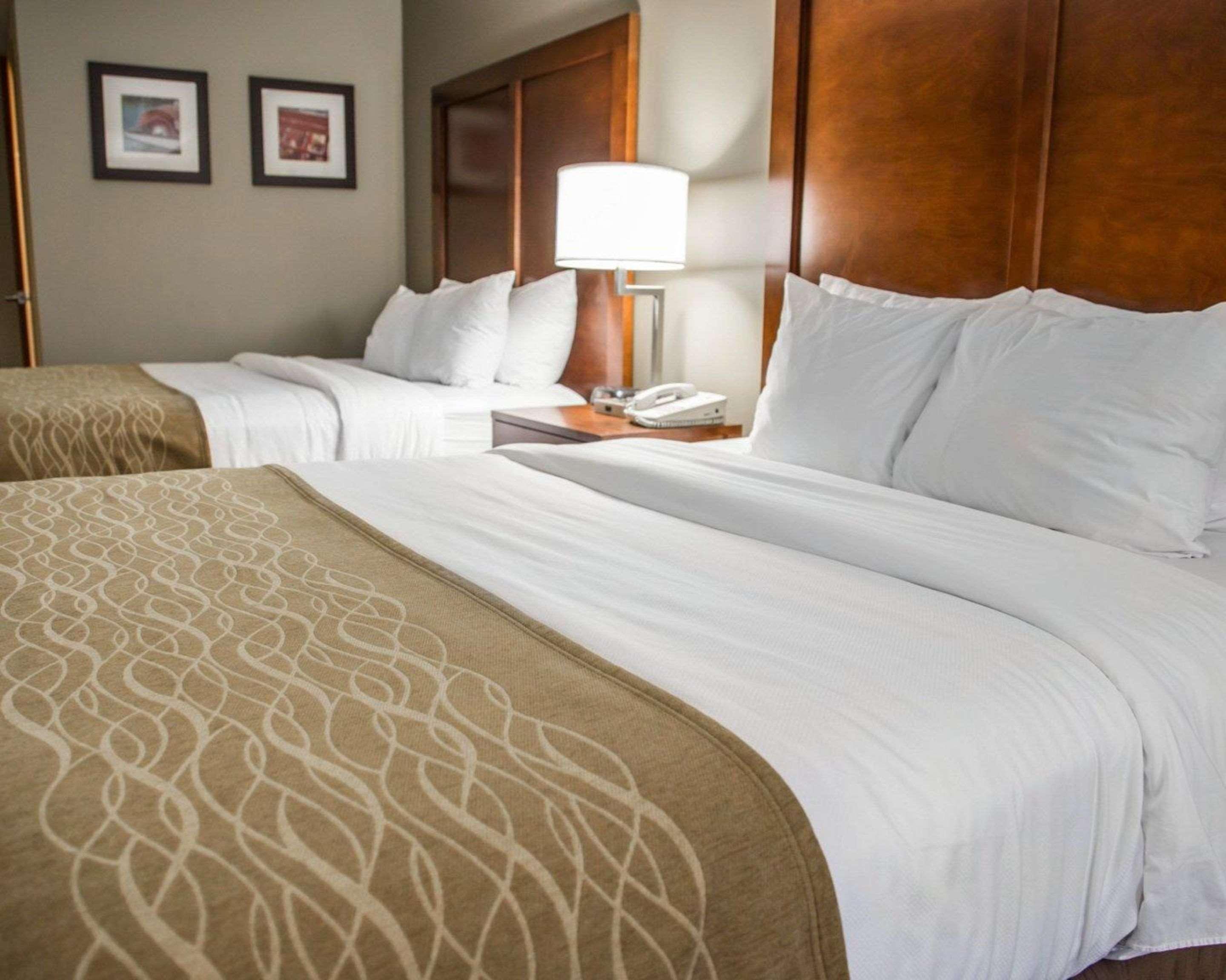 Comfort Inn & Suites Riverview Near Davenport And I-80 Le Claire Экстерьер фото